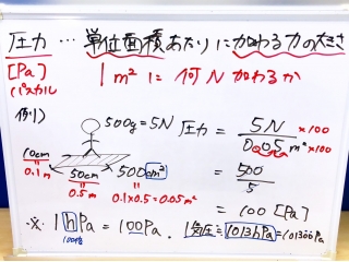 花を愛でる文化