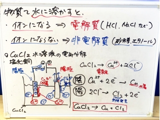 短冊の色